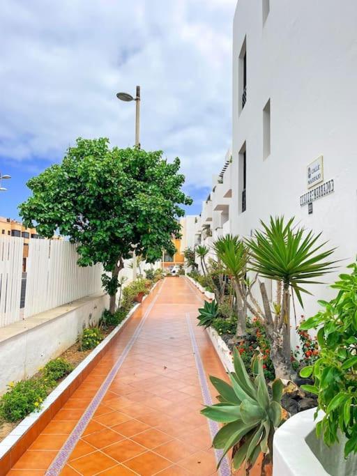 Oceano Azul Luminoso 50 Metros Del Mar En Centro Daire Corralejo Dış mekan fotoğraf